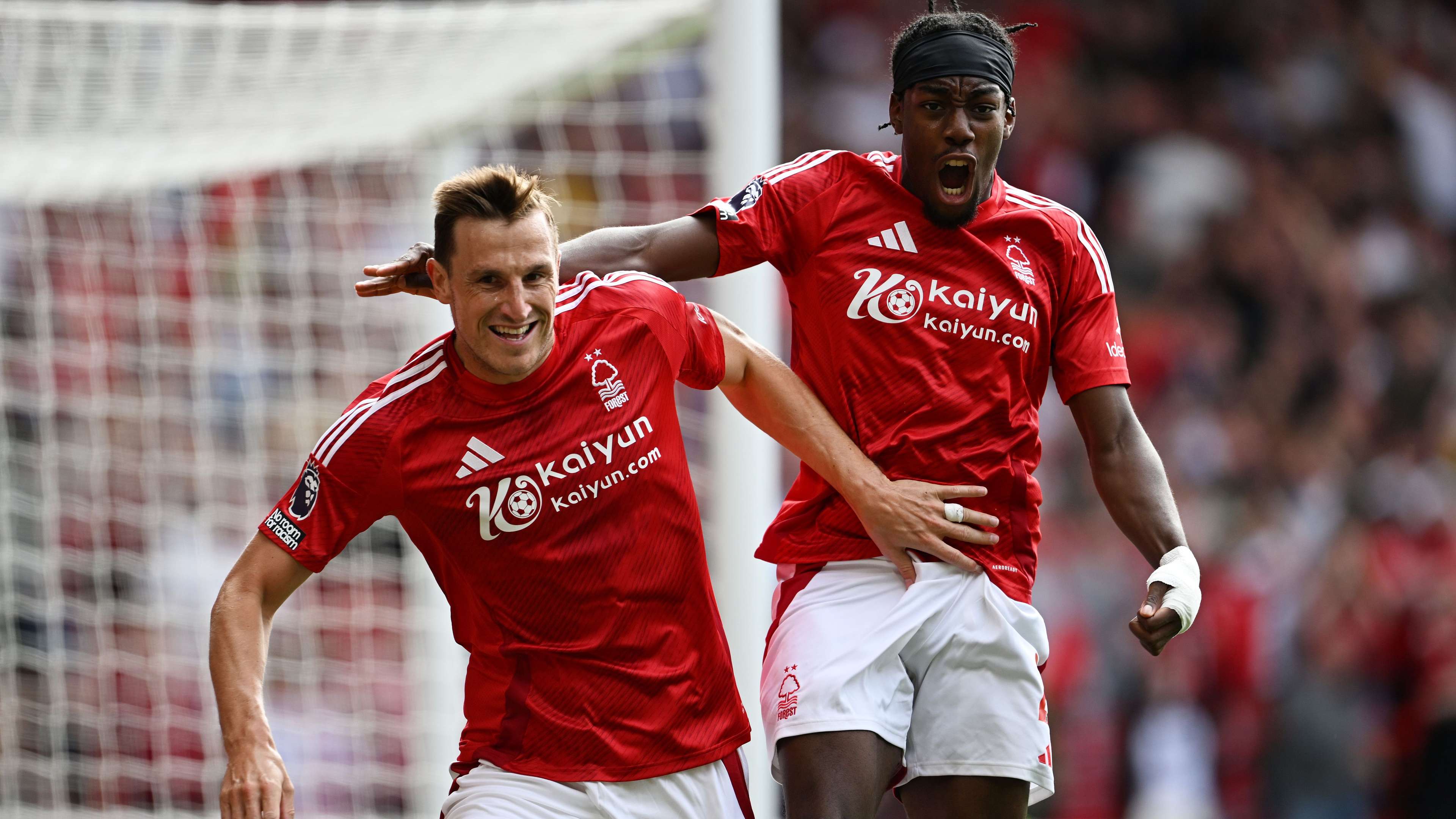 的攻击性 的攻击性